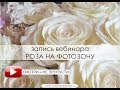 Роза на фотозону своими руками. Быстрая экономная сборка