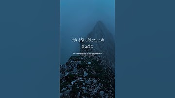 سورة الواقعة سعود الفايز #اكسبلور #المصحف #لايك #