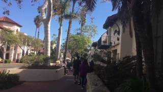 See various stores and shops on state street in santa barbara