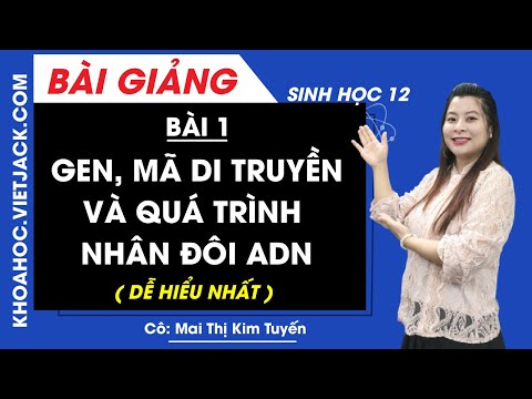 Video: Điều nào sau đây là một ví dụ về nguyên tắc mã hóa đặc hiệu?