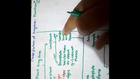 EICHLER,s classification of plant kingdom. Ch-3 11th biology. By ANSHUL SHARMA