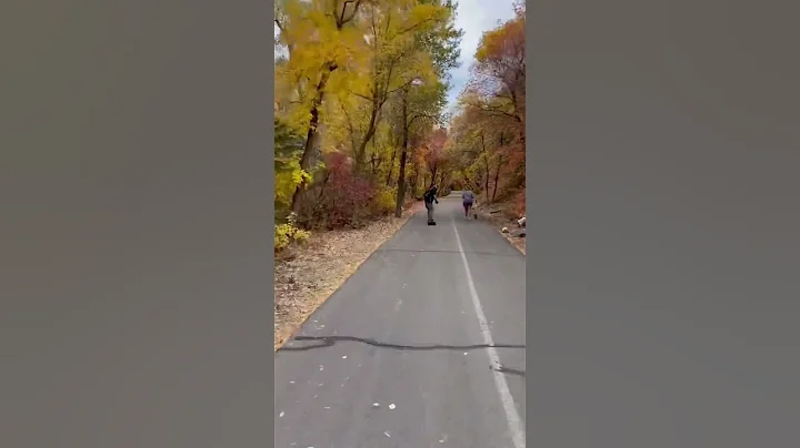 Provo canyon fall 22
