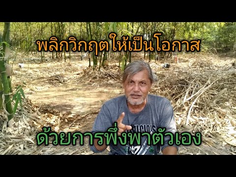 พลิกวิกฤตให้เป็นโอกาส ด้วยการพึ่งพาตัวเอง