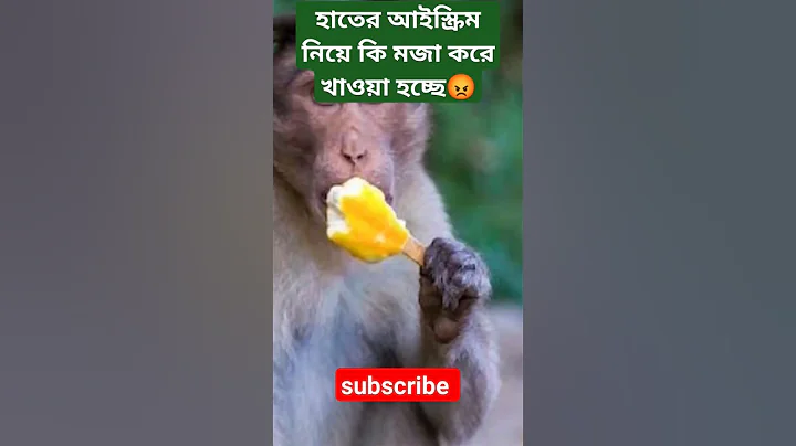 monkey Test Ice-cream #shorts #viral #tiktok #comedy #funnyvideo #travelvolg #tour #subscribe #bike