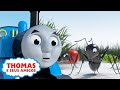Thomas e as Formigas | Compilação | Desejos mágicos de aniversário do Thomas | Desenho Animados