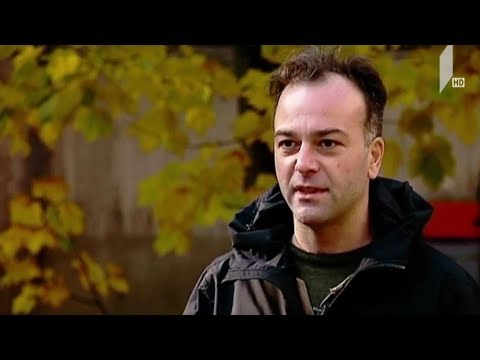 თბილისის კინოფესტივალი