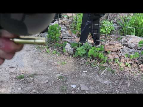 GAR SCALE ARROW HEAD Bullet Arrowhead deerfish bullet (Member Sneak Peek)