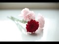 How to make paper flowers #.Carnation FREE! SO EASY!!