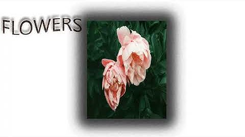 [FREE] RnB LOOP KIT/SAMPLE PACK 2020 - "FLOWERS" | R&b/Trapsoul Samples