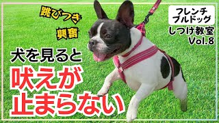 【犬 しつけ】お散歩中にワンちゃんを見ると100吠えてしまうフレブルとトレーニング跳びつき、興奮も抑える方法✨【フレンチブルドッグ】【吠え癖】