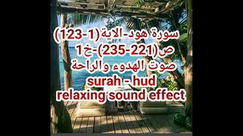 سورة هود-الاية(1-123) ص(221-235)-خ1 صوت الهدوء والراحة surah - hud relaxing sound effect