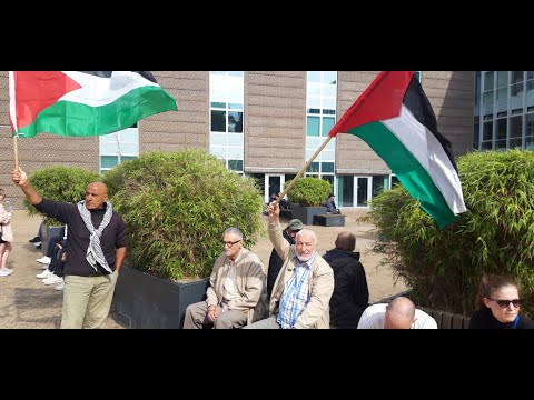 علم فلسطين يرفرف في أودنسه الدانمركية
