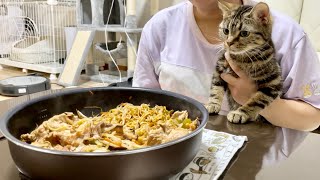 女友達のデカ盛り焼きそば大食いにダメ出しをしにきた猫w