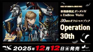 新機動戦記ガンダムW セル画 動画 Cel Genga 新機動戦記ガンダムW セル画 動画 Cel Genga 新機動戦記ガンダム