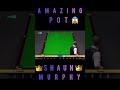 👑SHAUN MURPHY👑AMAZING POT🔥#snooker
