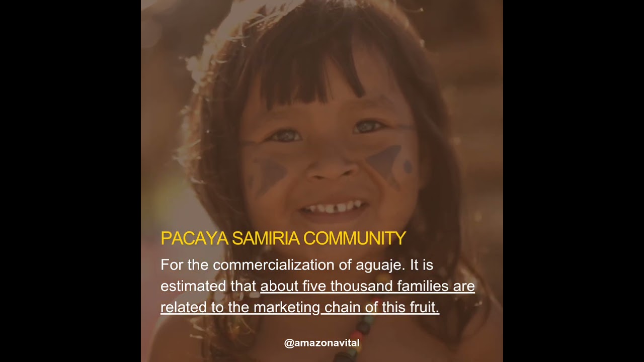 Crafted by Amazonian Women – The True Essence of Aguaje Oil