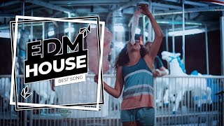 Back For Love - DJ Mayson 🎧 EDM House Happy Mood Music - Electro Best Drop