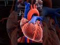 What Happens to Your Body When You Quit Smoking?  😳 | Quit Smoking Timeline!