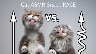 Creamy Snack licking race | Cats eating ASMR on glass table by FurryFritz - Catographer 42,680 views 2 years ago 1 minute, 39 seconds