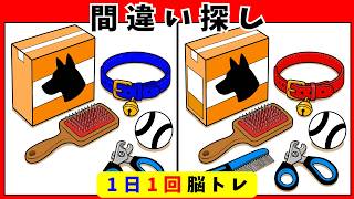 【間違い探し脳トレ】60代70代 高齢者向け｜ペットと暮らす癒しの時間🐶🐱脳活クイズ10問｜頭の体操 screenshot 1