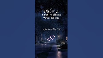 سوره بقره || آیه 238-239 || قرآن || تلاوت || تیلوات 2 || پاراگراف (1-2-3) || آیات 286|