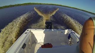 Mercury 225 EFI