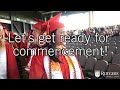 Commencement Tips: Class of 2020