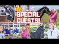 You know these special guests! We take them to Stal G and Stal H | Friesian Horses