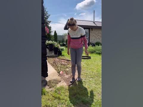 Цветник возле дома #цветник#клумба#клумбасвоимируками #дачник#садовод # ...