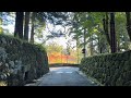[ Driving Japan ] Head to Nikko and Oze, popular World Heritage sites and beautiful autumn foliage.