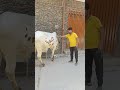 🌹Eid Mubrak🌹Eid2026🌹All muslims eid mubrak#viralvideo #subscribe #popular #fpy