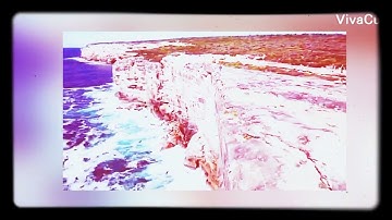 تلاوة خاشعة من سورة  يونس من الاية 22-24 بصوت رائع ♥