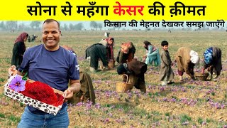 केसर थोड़ा हट के उगाए और मुँह माँगी दाम पाए Why Saffron is so expensive