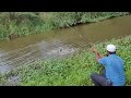 Village Fishing|Catching The Fishes In Small Hook Gal We Used Earth Worms To Catch Those Fishes