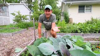 Why Your Garden Has SLUGS and SNAILS + How to Prevent Them