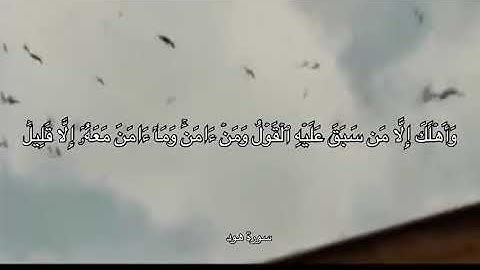 ايات جميله تصف قصه قوم نوح من سورة هود🥺🤍