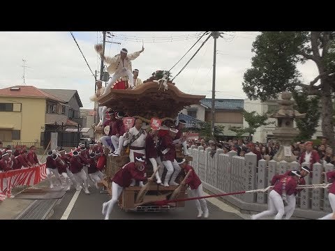 令和元年10月14日和泉市信太 幸だんじり祭 連合曳き Youtube