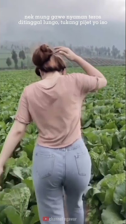 story wa yeni inka iso tanpo kuwe