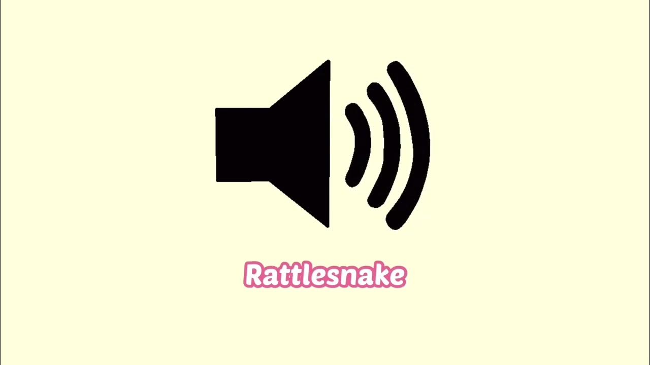 Rattlesnake Sound Effect YouTube rattlesnake-sound-effect-youtube