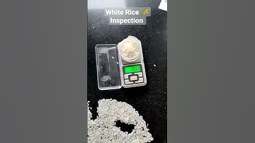white Rice 🌾 inspection. long Grain White Rice 5% broken #rice #indianfood #india #nonbasmatirice