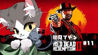レッド・デッド・リデンプション2  西部でストーリー進める進める初見猫！！ 【PART11】