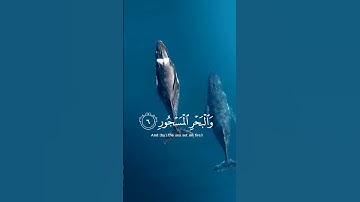 وَالْبَيْتِ الْمَعْمُورِ..سورة الطور..قارئ..محمد صدیق المنشاوی