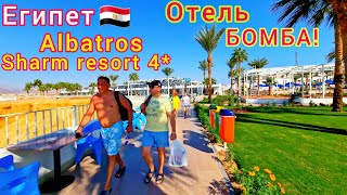 Египет 2024🇪🇬 ЗНАМЕНИТАЯ четвёрка Albatros Sharm Resort 4*. Все ХОТЯТ в этот ОТЕЛЬ❗️ Шарм-эль-Шейх