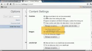 How to check if JavaScript is enabled in Google Chrome