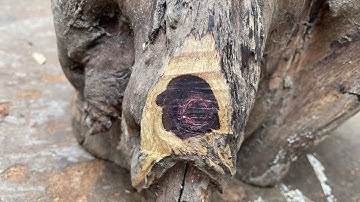 GL phôi trắc dây chun sụn 26kg làm đục chim chóc hoa lá cành đều víp ạ giá lh033.891.8991 TGQ