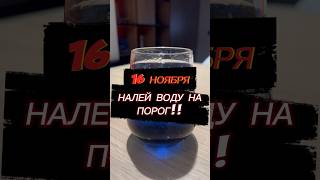 💦 НАЛЕЙ ВОДУ НА ПОРОГ 💥