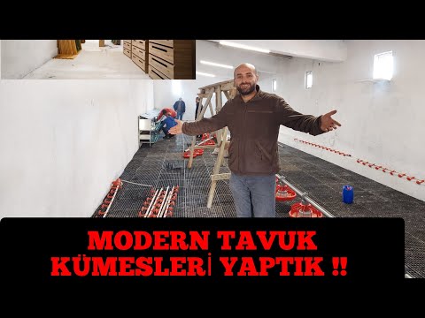 Video: Venüs Böcek Nasıl Seçilir: 12 Adım (Resimlerle)