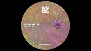 ROUZ & Wyllie -- Perceive