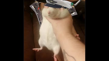 Ramlethal players and Sol Players shares the same Braincells : Low Level Gameplay