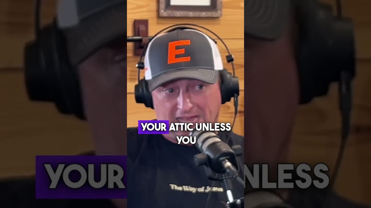 The Truth About Termite-Resistant Insulation